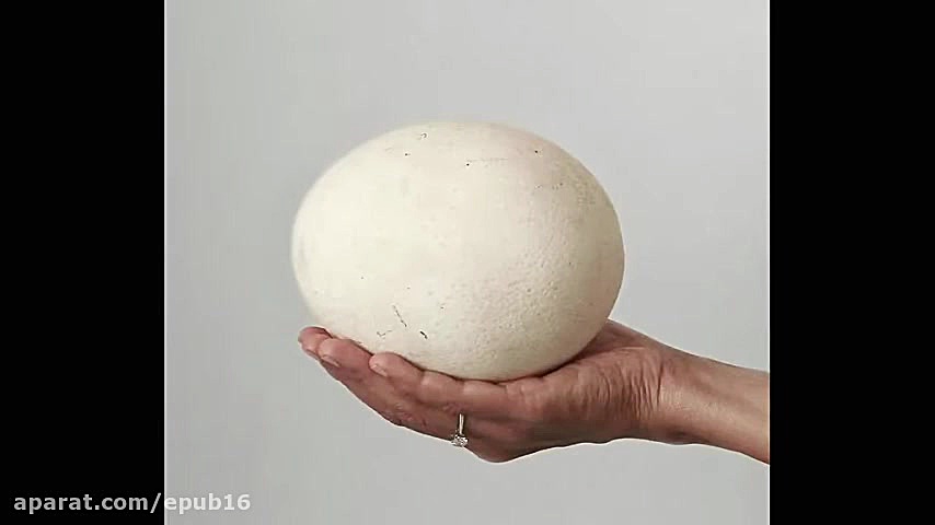 آیا خواص تخم پرندگان مختلف را...