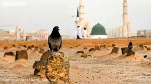شهادت امام صادق ع حاج نادر جوا...