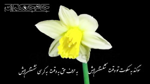 سرود ظهور امام زمان عج