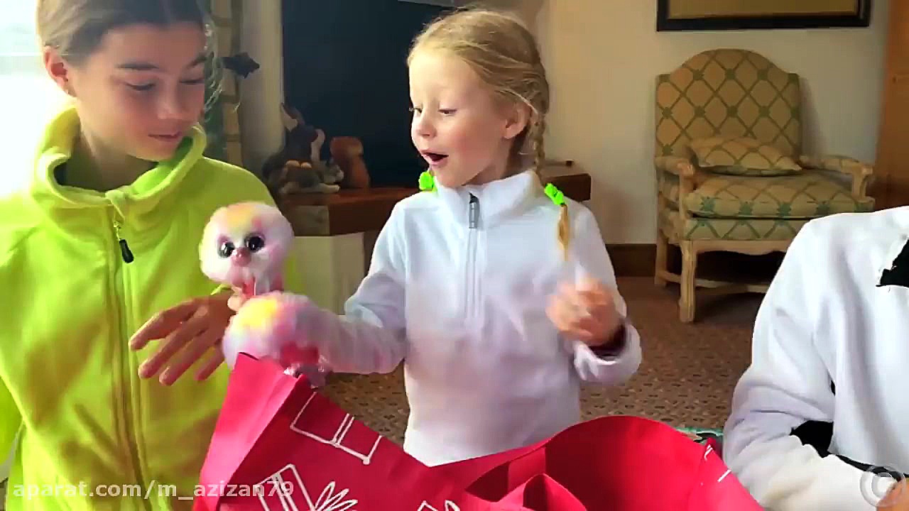 ناستیا و استیسی ناستیا و استیس...