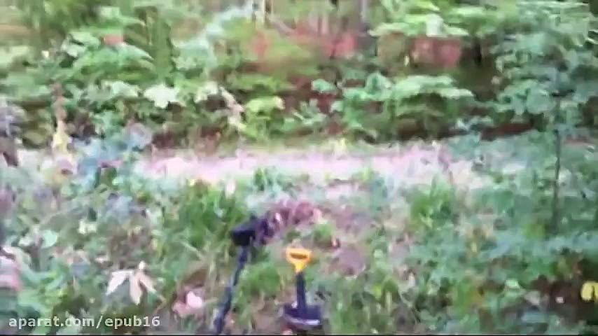 5 ویدیو از موجودات عجیب و غریب...