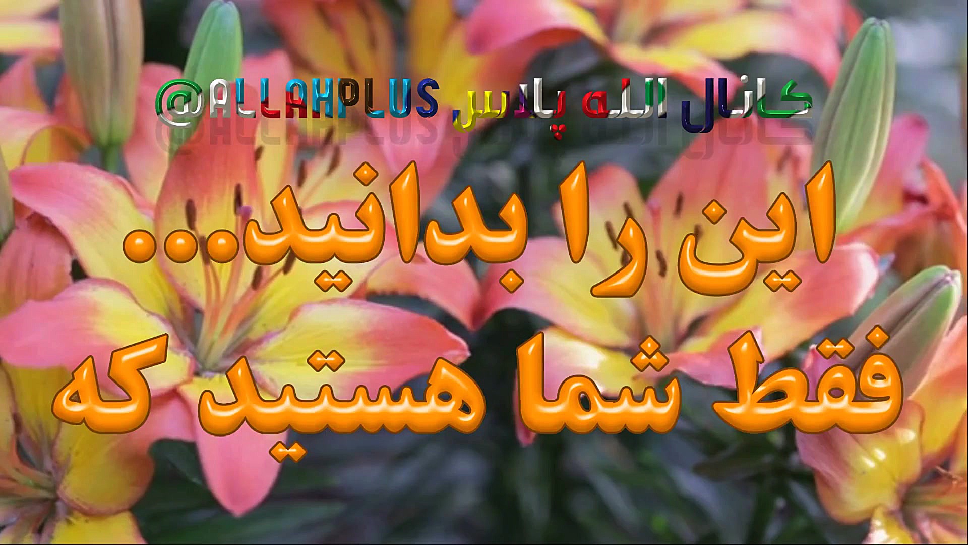 بهترین کلیپ عصر بخیر باموسیقی...