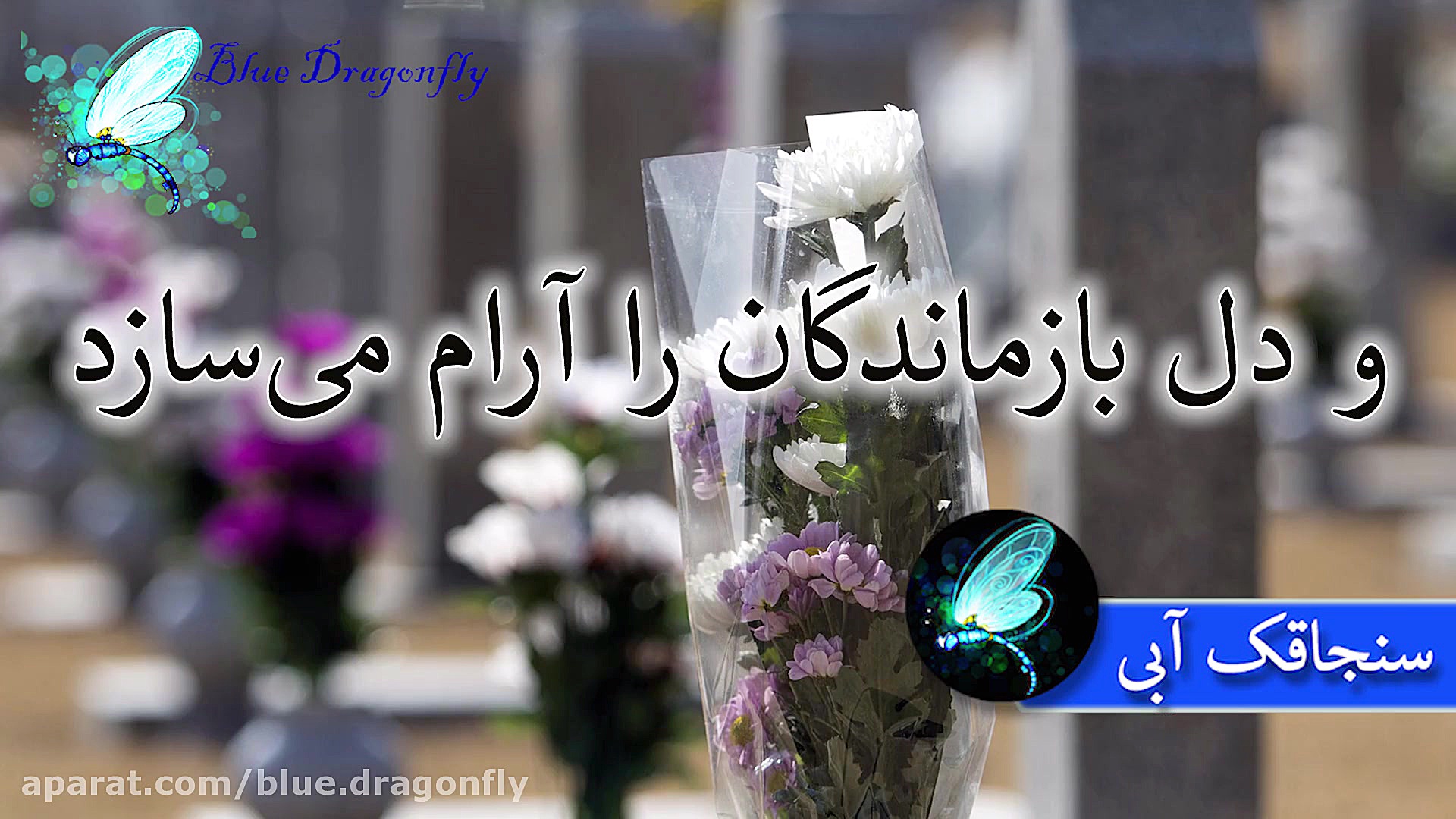 کلیپ روز پنج شنبه برای همدردی...