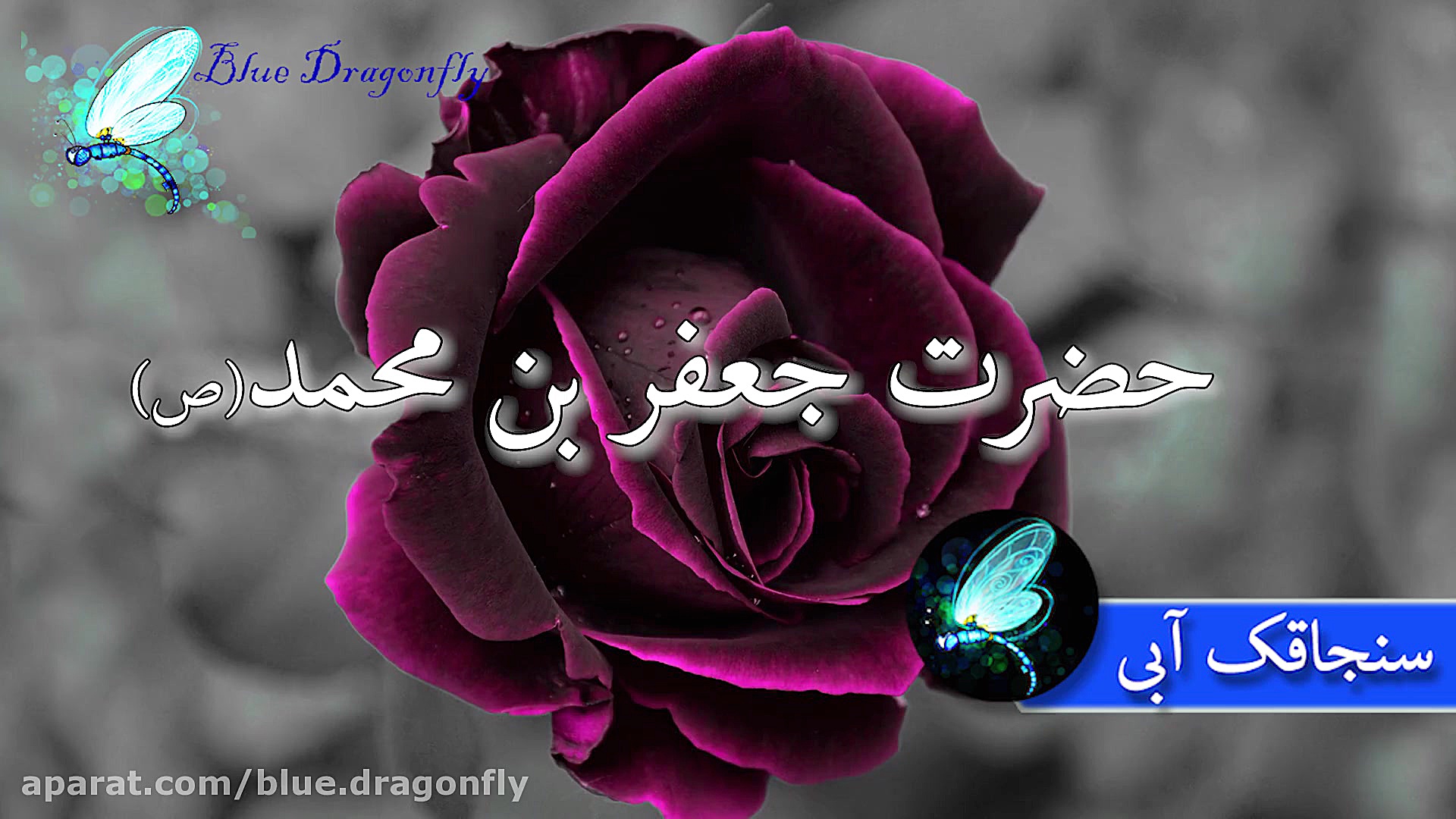 کلیپ تسلیت شهادت امام جعفر صاد...