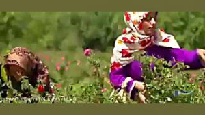 جاذبه های گردشگری و دیدنی ایرا...