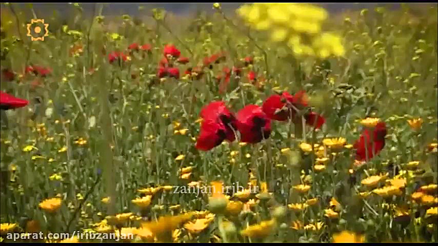 صبحی دیگر با صدای مجید اخشابی