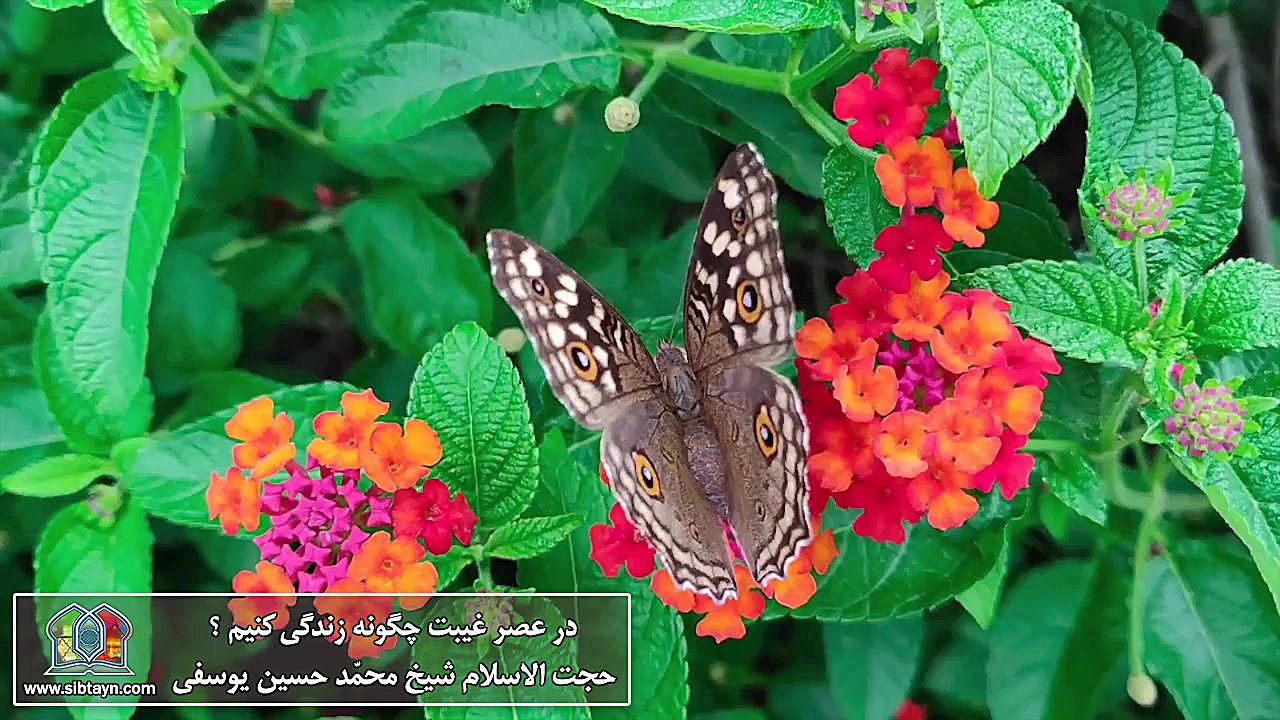 در عصر غیبت چگونه زندگی کنیم ؟...