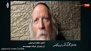 شکوفه های زیتون ۱