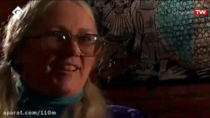 شکوفه های زیتون۲