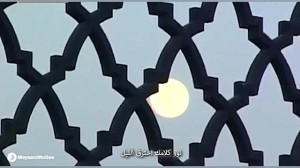 من از تو دارم دین و مذهب را نم...