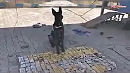 قاچاق مواد مخدر