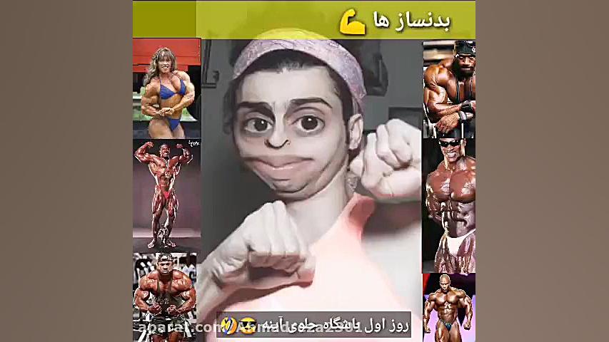 کلیپ فردین جهانشیری انوع دختر