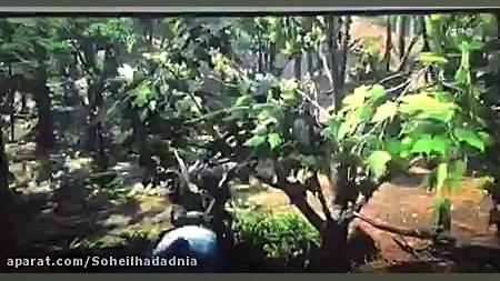 مکان یه تفنگ شات گان لجندری در...