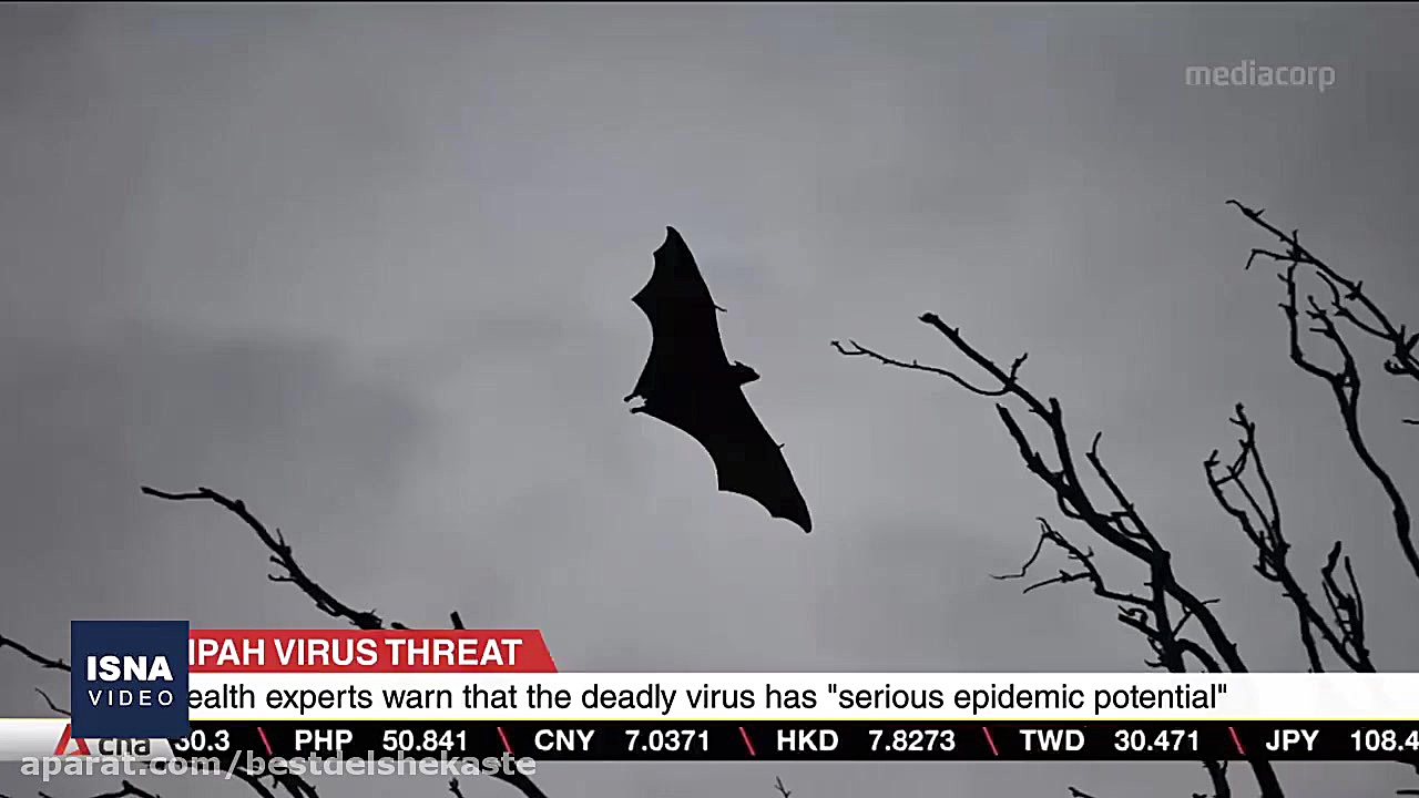 هشدار! تجاوز به حیات وحش، اپید...