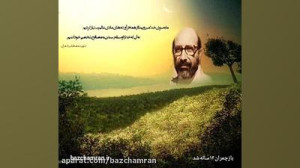 سالگرد شهادت شهید دکتر مصطفی چ...