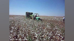 کمباینوش چین پنبه دو ردیفه