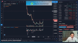 dssminer.com Bitcoin price ana...