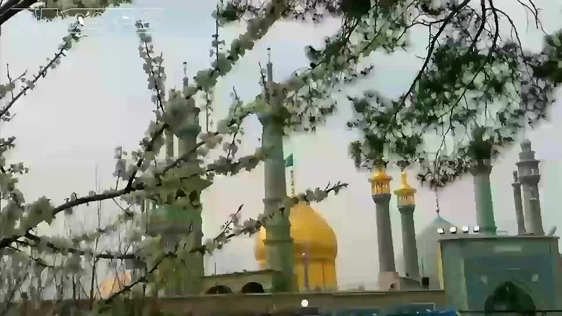 کلیپ تبریک ولادت حضرت معصومه (...