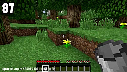 صد ترفند در ماین کرافت