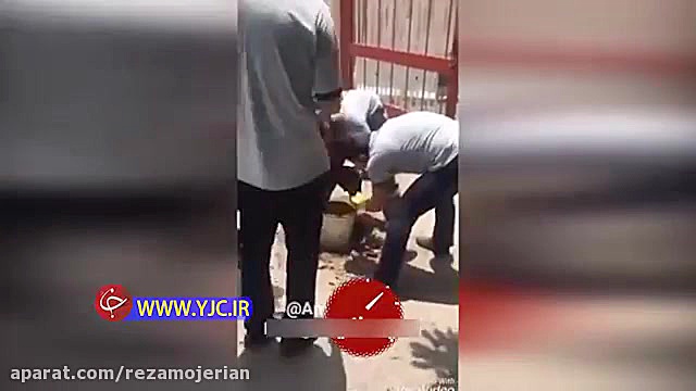 تلاش یک ساعته برای نجات گربه گ...