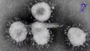 ورود ویروس کرونا به بدن