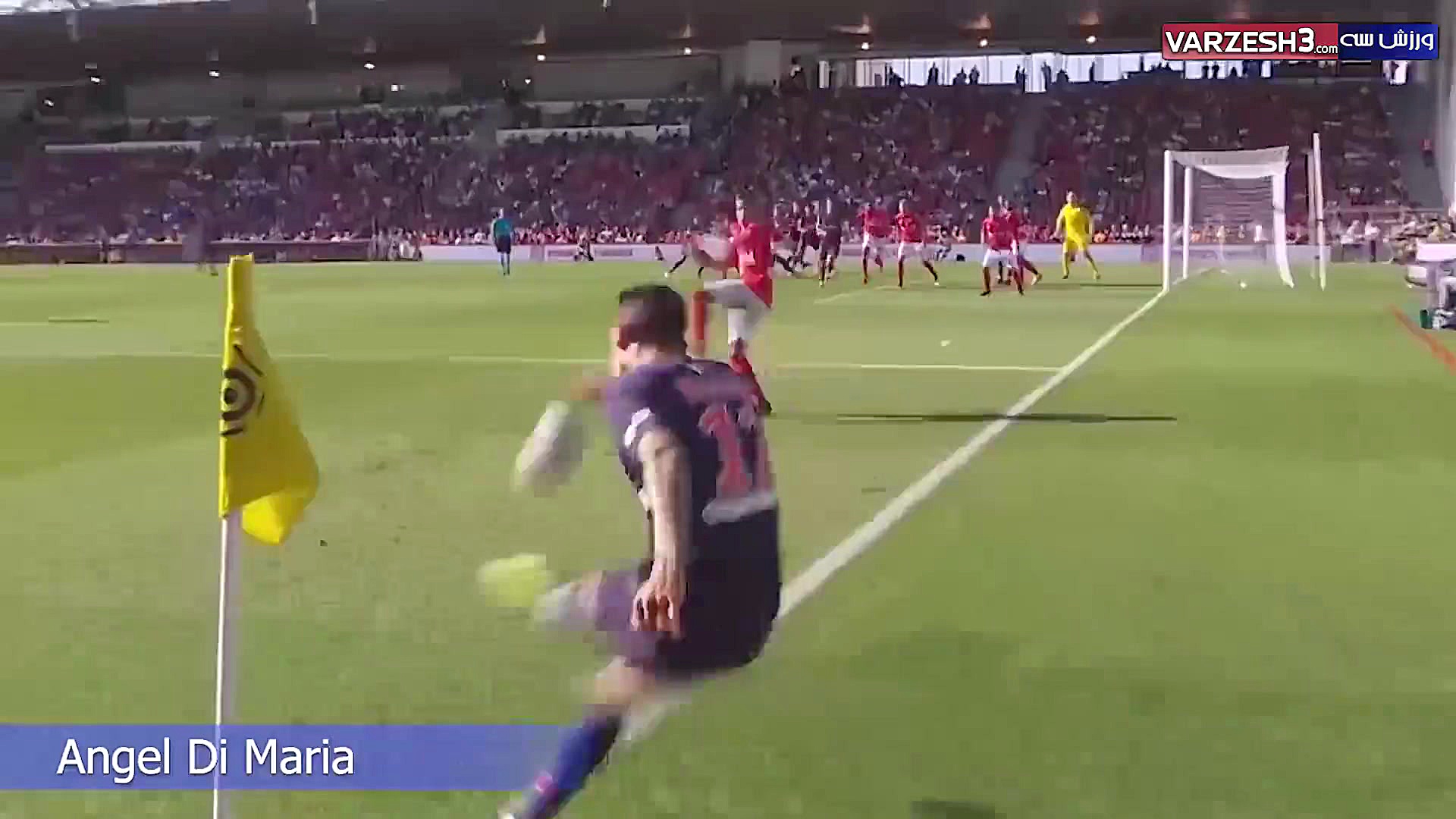 بهترین گل های از روی کورنل