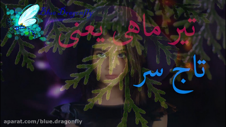 کلیپ تبریک تولد تیر ماهی ها  آ...