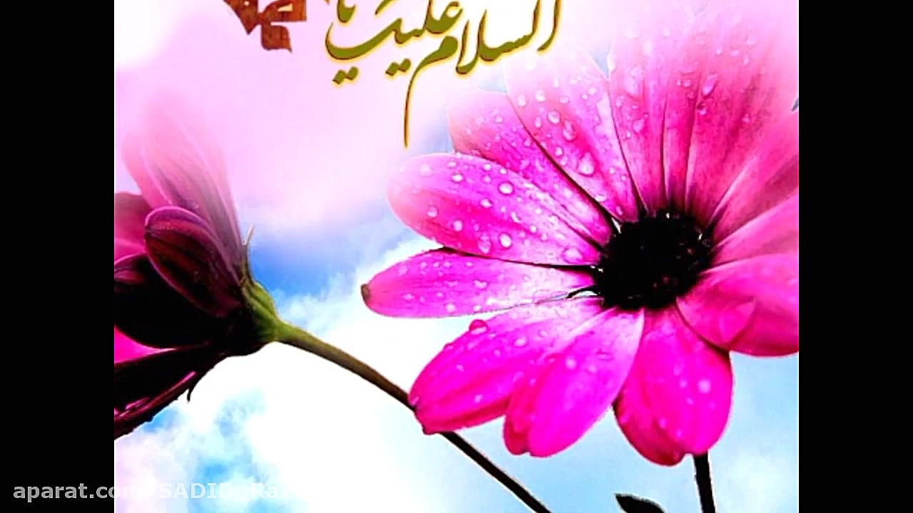 مولودی بسیار زیبا ( حضرت فاطمه...