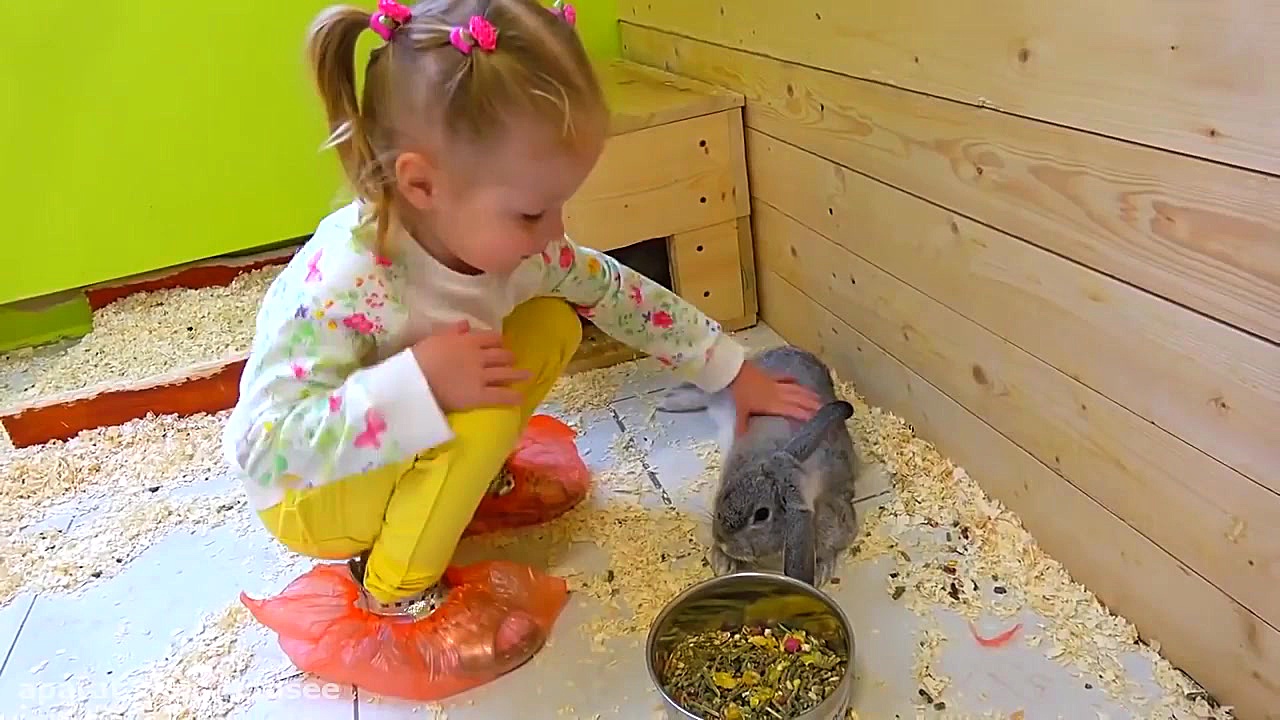 ناستیا و استیسی |استیسی در خان...