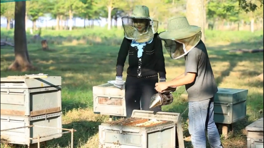 زندگی در طبیعت آسیای شرقی 9