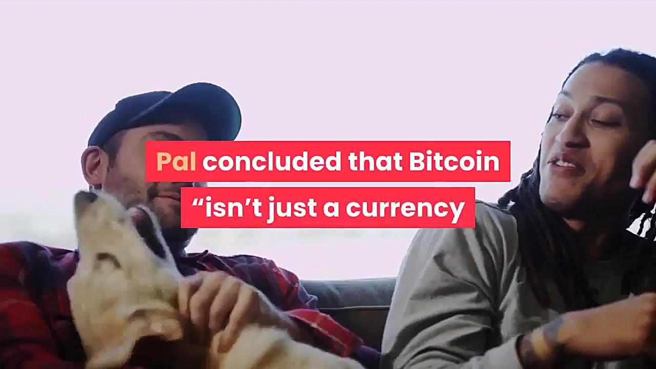 dssminer.com New Macro Report...