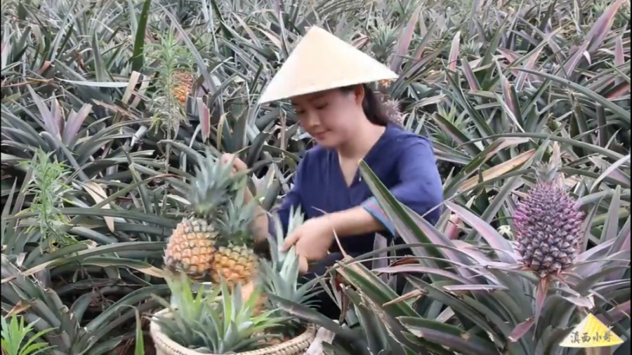 زندگی در طبیعت آسیای شرقی 73