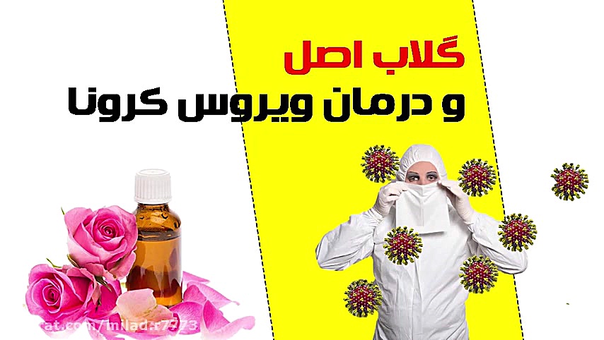 گلاب و درمان ویروس کرونا