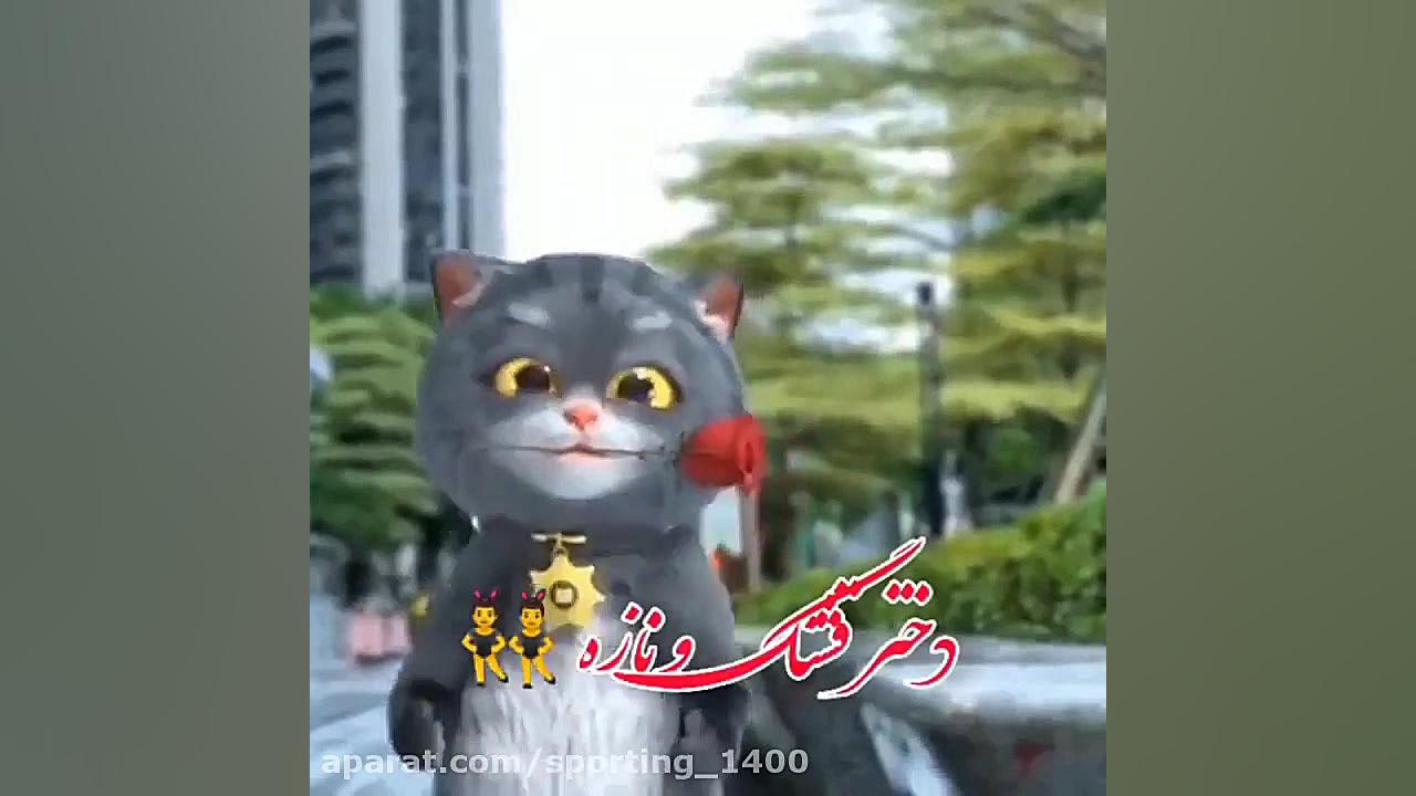 کلیپ روز دختر  تبریک دختر روز...