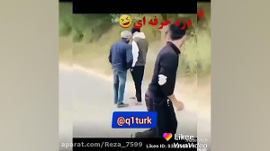 دزد حرفه ای