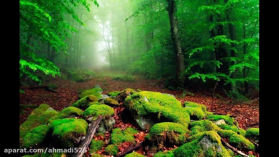 موسیقی محلی گیلانی هی یار بی ک...