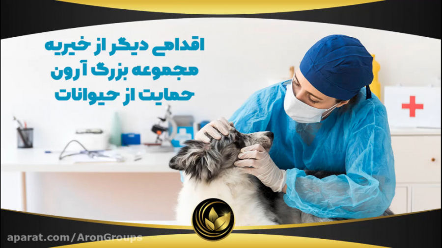 اقدامی دیگر از خیریه مجموعه بز...