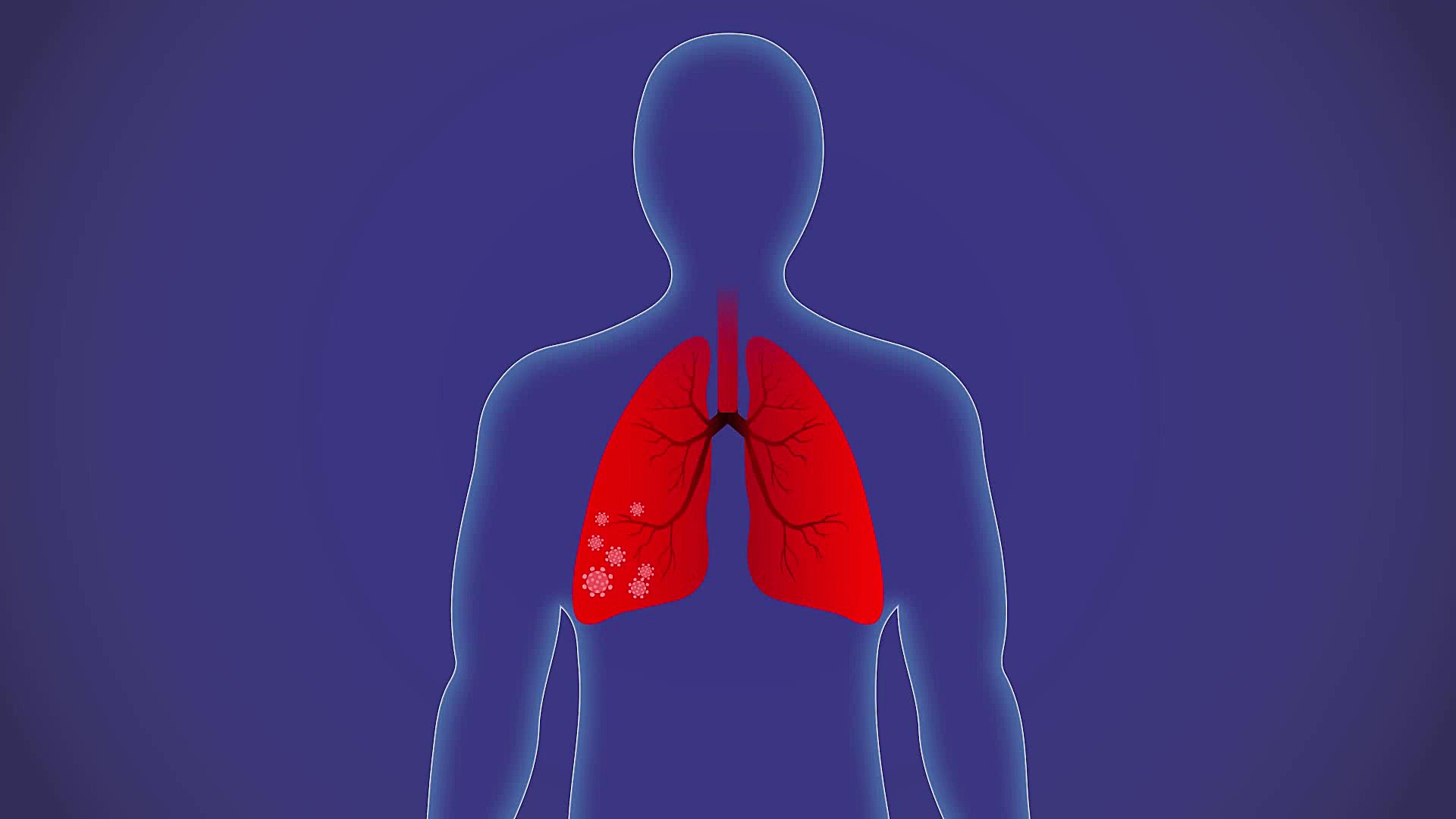 تولید؛ عامل امنیت اقتصاد