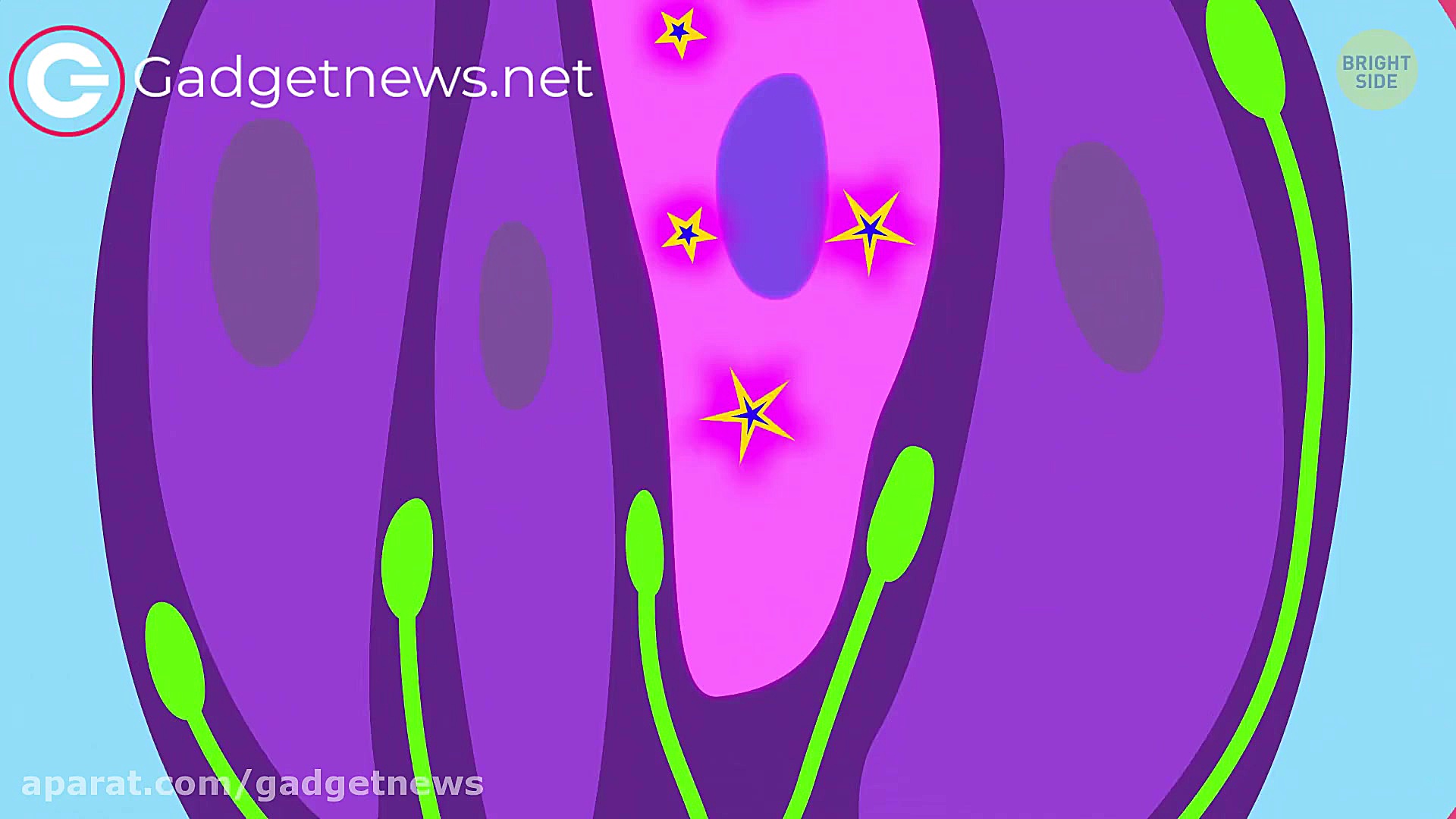 سفری به دهان شما  گجت نیوز