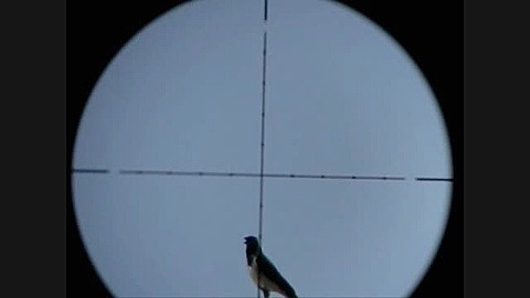 هاتسان ای تی ۴۴ در شکار