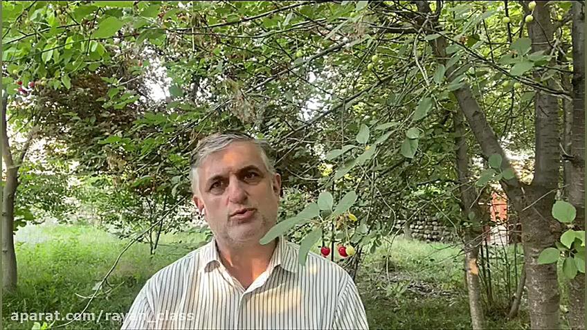 همایش دین و زندگی