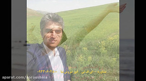 روانشناسی حس خوب و زندگی بهتر...