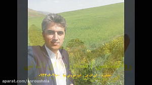 روانشناسی رفع مشکلات با ای اف...