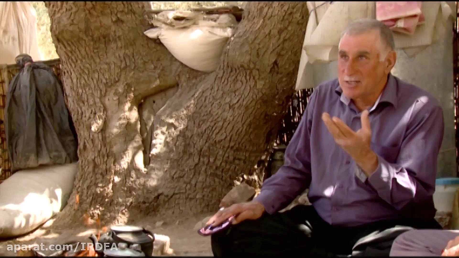 بخش‌هایی از فیلم مستند درخت زن...