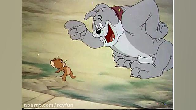 قسمت 15 تام و جری از 200 قسمت