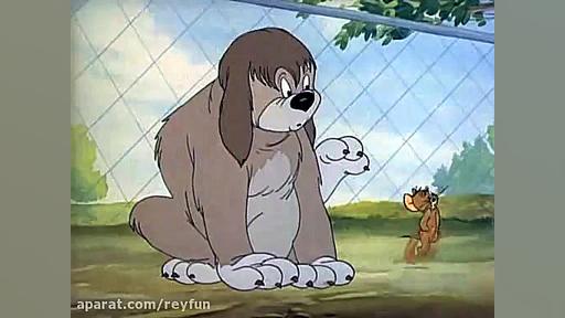 قسمت 16 تام و جری از 200 قسمت