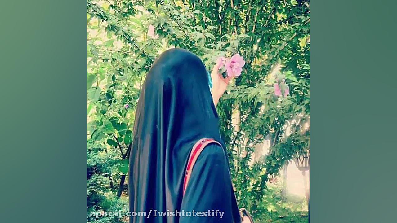 میثم مطیعی (حجاب)