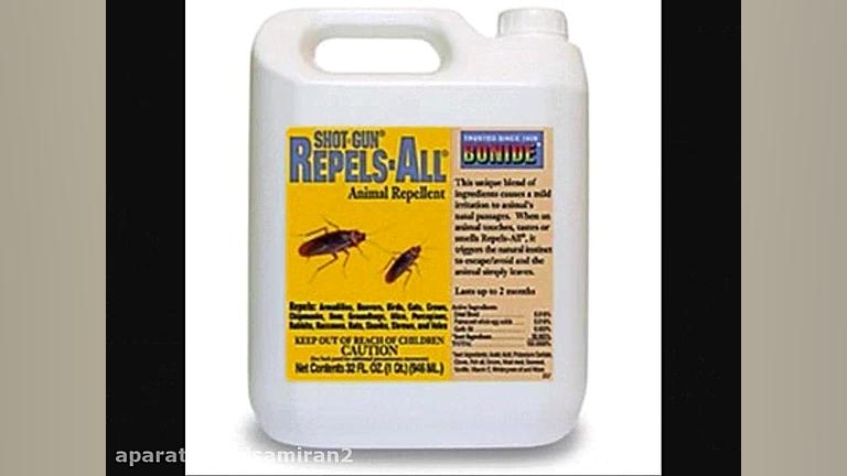 موثرترین سم سوسک کش با قیمتی م...