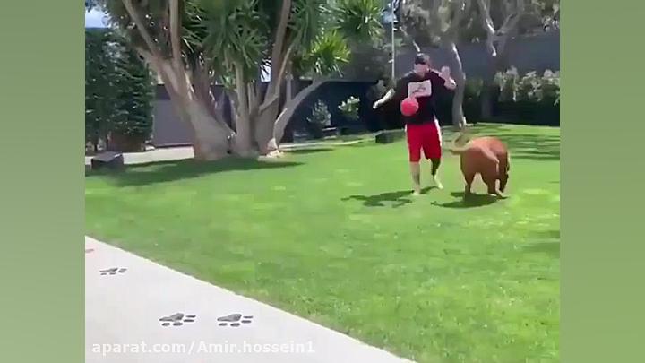 بازی کردن مسی با سگش