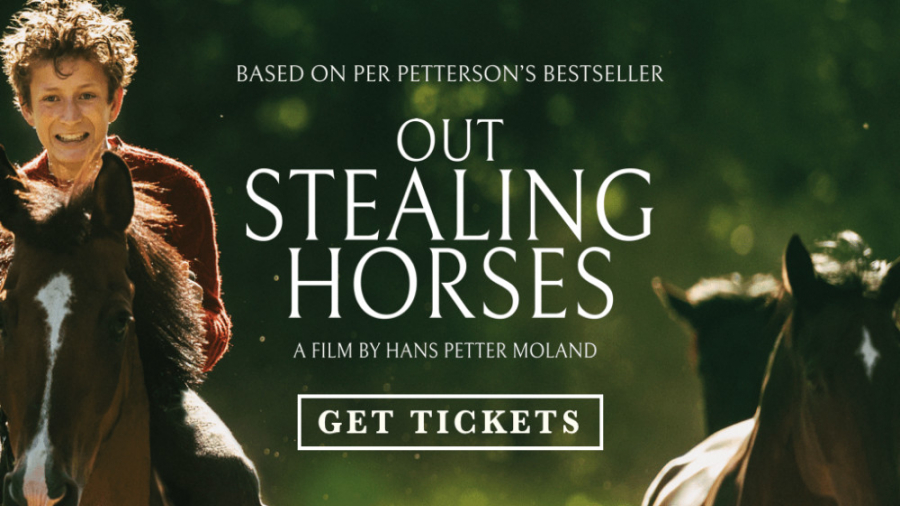 فیلم : به هوای دزدیدن اسب ها...